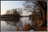 Gose - Elbe - Zum vergrern anklicken