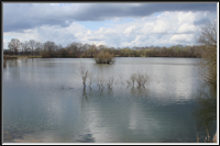 Hummelsee - Zum vergrern anklicken